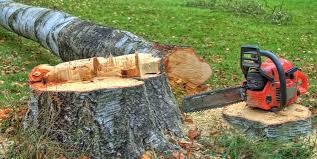 Best Lawn Grading and Leveling  in Doe Valley, KY