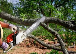 Leaf Removal in Doe Valley, KY