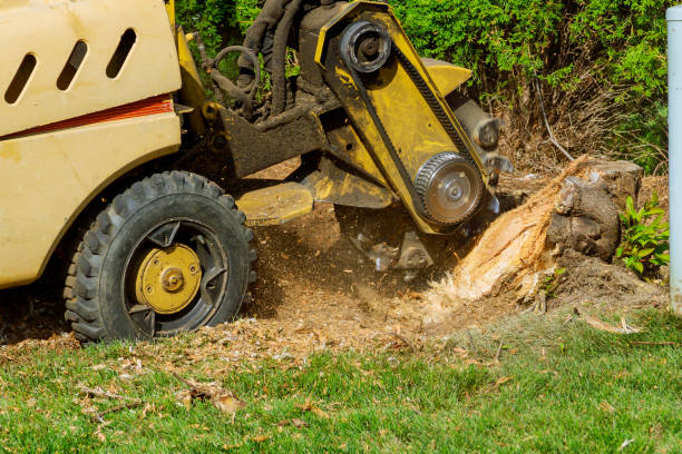 Best Landscape Design and Installation  in Doe Valley, KY