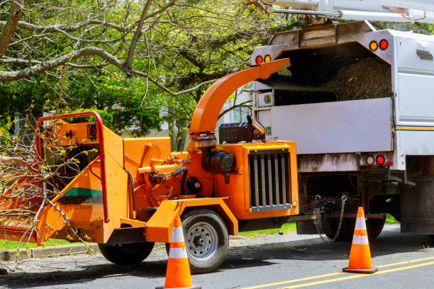 Best Tree Preservation Services  in Doe Valley, KY