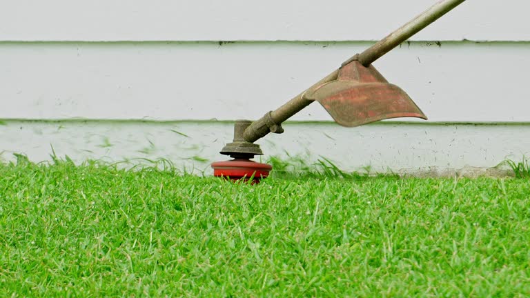 How Our Tree Care Process Works  in  Doe Valley, KY