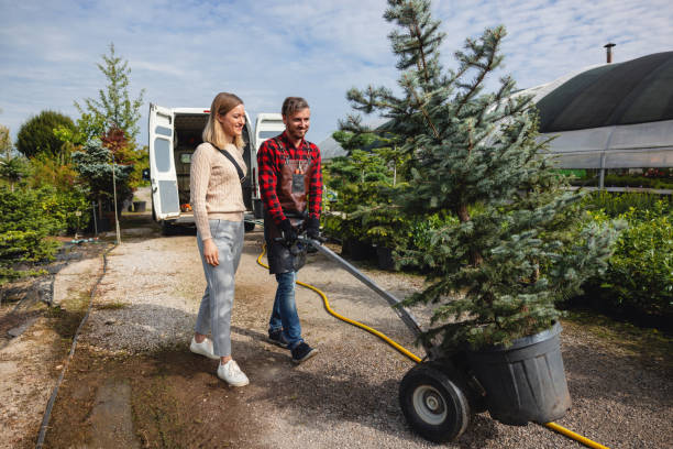 Best Tree Disease Treatment  in Doe Valley, KY